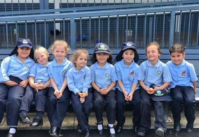 Year 1 Term 1 Year 1 Term 1